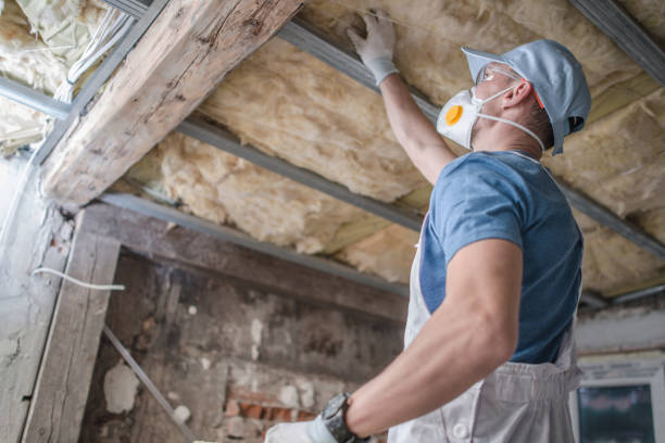 Best Best Insulation Companies  in Erwinville, LA