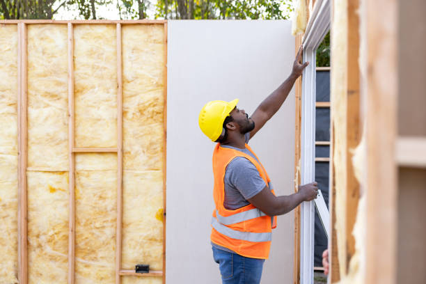 Best Cellulose Insulation  in Erwinville, LA